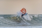 Preview: Sailloft CURVE Power Wave yellow/orange Preview: Sailloft CURVE Power Wave yellow/orange